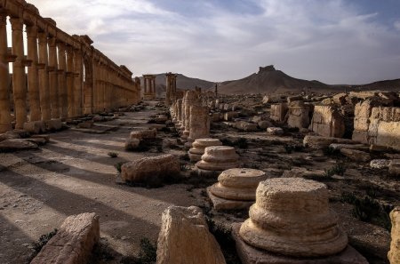 Пальмира была одним из основных городов  на древнем Шелковом пути