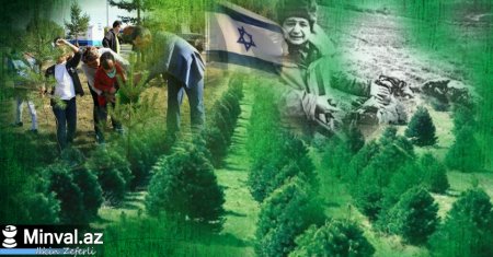 В Израиле посадят 613 деревьев в память о Ходжалы