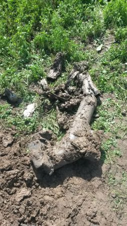 В АЗЕРБАЙДЖАНЕ ЗА ДЕНЬ ОБНАРУЖЕНО 624 НЕРАЗОРВАВШИХСЯ БОЕПРИПАСОВ